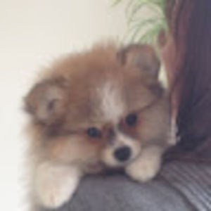 Meet your Posher, Jonna